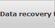 Data recovery for St Simons Island data